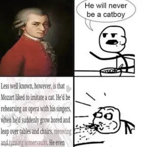 image tagged in mozart | made w/ Imgflip meme maker