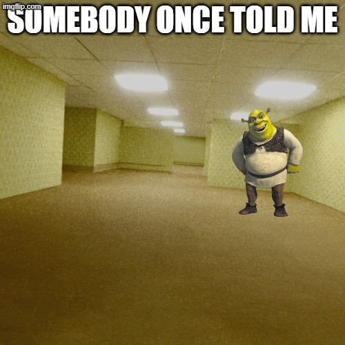 shrek in the backrooms | SOMEBODY ONCE TOLD ME | image tagged in backrooms | made w/ Imgflip meme maker