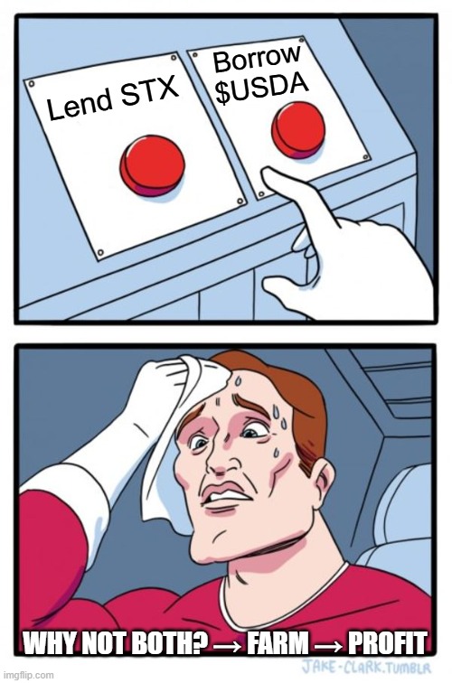 Two Buttons Meme | Borrow $USDA; Lend STX; WHY NOT BOTH? → FARM → PROFIT | image tagged in memes,two buttons | made w/ Imgflip meme maker