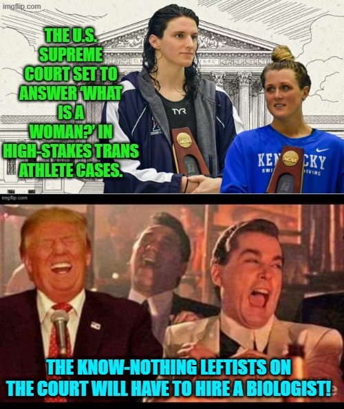 With previous generations this sort of insanity would never have been an issue to begin with. | THE U.S. SUPREME COURT SET TO ANSWER ‘WHAT IS A WOMAN?’ IN HIGH-STAKES TRANS ATHLETE CASES. THE KNOW-NOTHING LEFTISTS ON THE COURT WILL HAVE TO HIRE A BIOLOGIST! | image tagged in yep | made w/ Imgflip meme maker