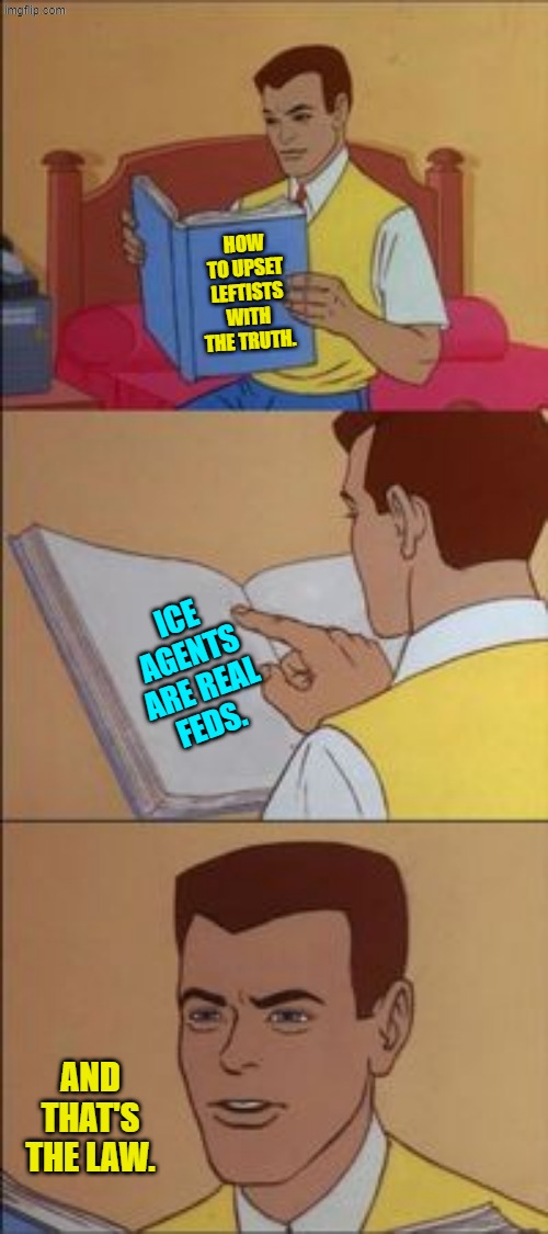 All you leftist lunatics have to do is look it up. | HOW TO UPSET LEFTISTS WITH THE TRUTH. ICE AGENTS ARE REAL FEDS. AND THAT'S THE LAW. | image tagged in peter parker reading a book | made w/ Imgflip meme maker