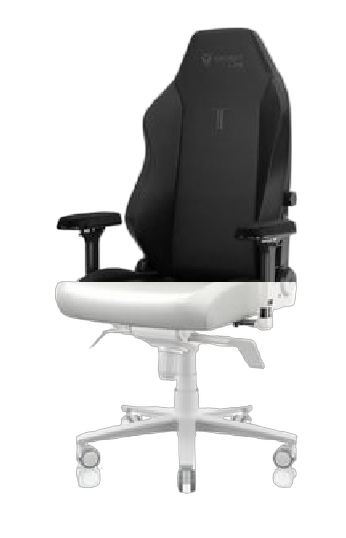 Chair123 Blank Meme Template