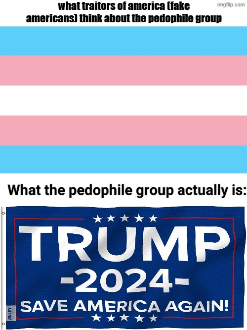 what traitors of america (fake americans) think about the pedophile group | image tagged in maga,trans,transgender,pedophile,donald trump,make america great again | made w/ Imgflip meme maker