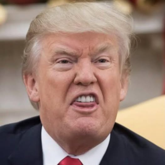 Orange Buffon Blank Meme Template