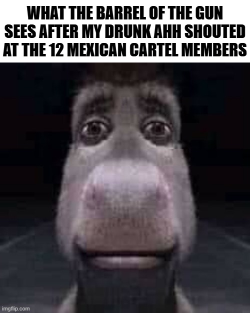Welp, too late now i guess | WHAT THE BARREL OF THE GUN SEES AFTER MY DRUNK AHH SHOUTED AT THE 12 MEXICAN CARTEL MEMBERS | image tagged in donkey staring,dark humor,guns,mexico | made w/ Imgflip meme maker