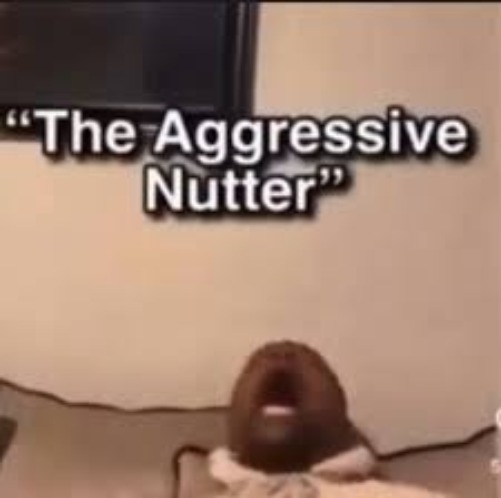 the aggressive nutter | image tagged in the aggressive nutter | made w/ Imgflip meme maker