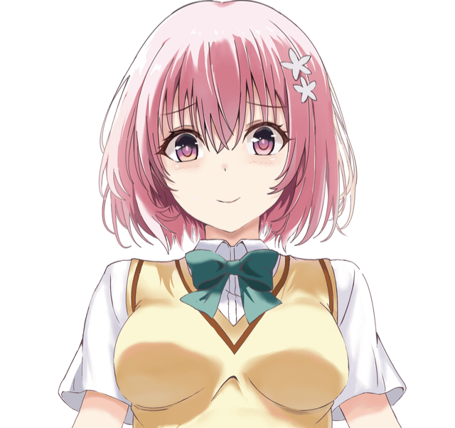 Momo to love ru Blank Meme Template