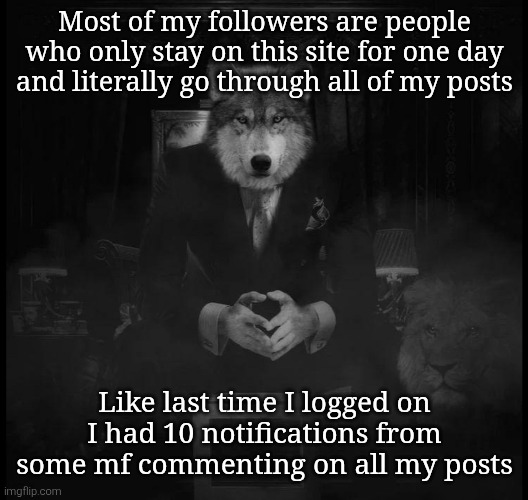 These fun stream underage kids who freak out after seeing the least unhinged msmg meme | Most of my followers are people who only stay on this site for one day and literally go through all of my posts; Like last time I logged on I had 10 notifications from some mf commenting on all my posts | image tagged in wolf on a chair | made w/ Imgflip meme maker