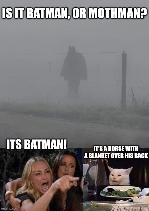Then he appeared in the fog... | IS IT BATMAN, OR MOTHMAN? ITS BATMAN! IT'S A HORSE WITH A BLANKET OVER HIS BACK | image tagged in batman,mothman,woman yelling at cat,horse,optical illusion | made w/ Imgflip meme maker