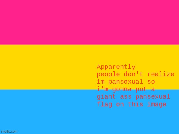 guys do you now know that I'm not straight or nah | Apparently people don't realize im pansexual so i'm gonna put a giant ass pansexual flag on this image | made w/ Imgflip meme maker