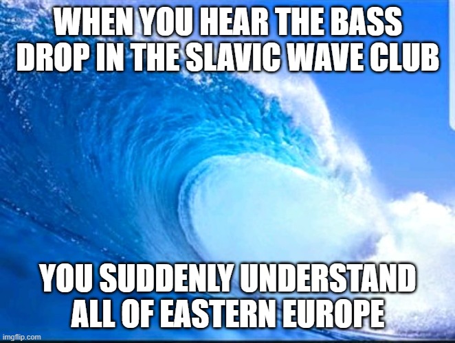 Blue Wave | WHEN YOU HEAR THE BASS DROP IN THE SLAVIC WAVE CLUB; YOU SUDDENLY UNDERSTAND ALL OF EASTERN EUROPE | image tagged in blue wave,slavic wave | made w/ Imgflip meme maker