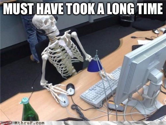 Skeleton Computer | MUST HAVE TOOK A LONG TIME | image tagged in skeleton computer | made w/ Imgflip meme maker