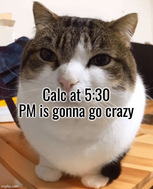 At least I won’t have to worry about oversleeping it | Calc at 5:30 PM is gonna go crazy | image tagged in oh the misery original | made w/ Imgflip meme maker