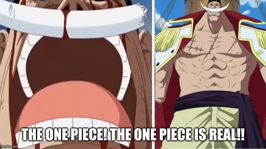 whitebeard the one piece is real | THE ONE PIECE! THE ONE PIECE IS REAL!! | image tagged in whitebeard the one piece is real | made w/ Imgflip meme maker
