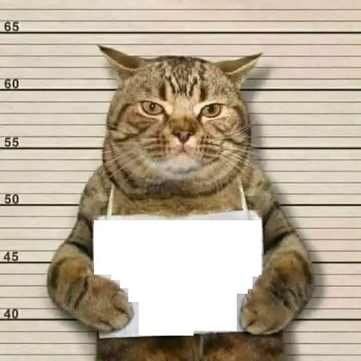 cat sign Blank Meme Template