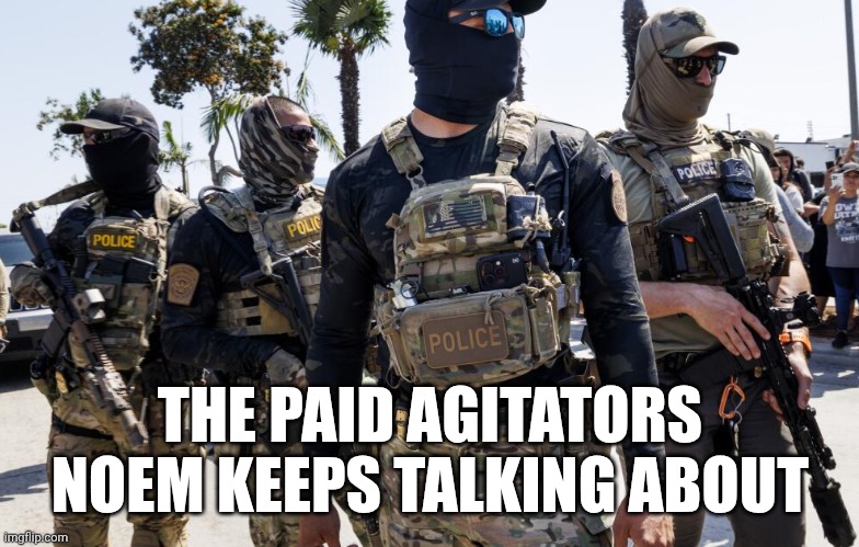 Enemies of the State | THE PAID AGITATORS NOEM KEEPS TALKING ABOUT | image tagged in masked ice agents are hiding criminals 1/6 militia,dirty cops,maga,kristi noem,wait this is beyond illegal | made w/ Imgflip meme maker