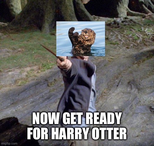 Harry potter | NOW GET READY FOR HARRY OTTER | image tagged in harry potter | made w/ Imgflip meme maker