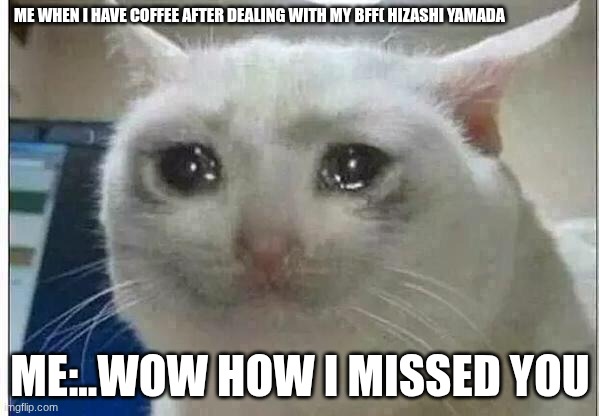 LIKE YEAH | ME WHEN I HAVE COFFEE AFTER DEALING WITH MY BFF( HIZASHI YAMADA; ME:..WOW HOW I MISSED YOU | image tagged in crying cat,crying | made w/ Imgflip meme maker