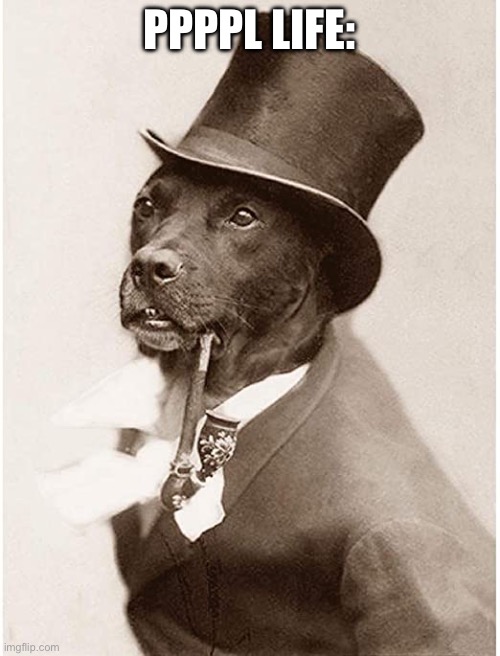 Top Hat Dog | PPPPL LIFE: | image tagged in top hat dog | made w/ Imgflip meme maker