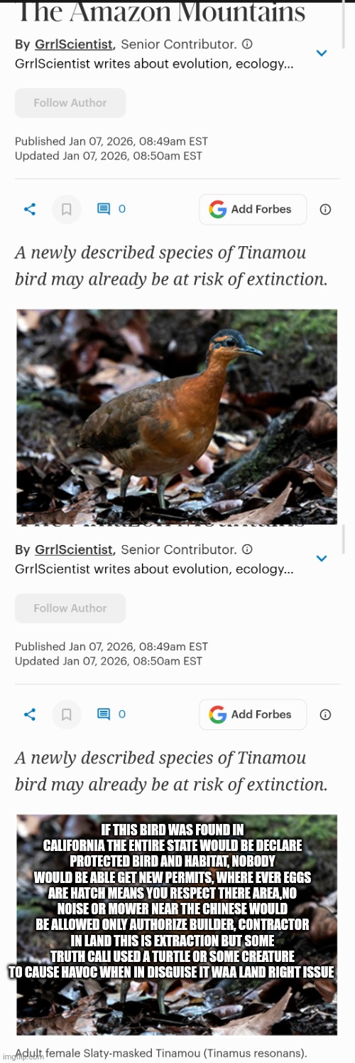 Nature another casualty of the left, how they weaponized a harmless creature to harm America | IF THIS BIRD WAS FOUND IN CALIFORNIA THE ENTIRE STATE WOULD BE DECLARE PROTECTED BIRD AND HABITAT, NOBODY WOULD BE ABLE GET NEW PERMITS, WHERE EVER EGGS ARE HATCH MEANS YOU RESPECT THERE AREA,NO NOISE OR MOWER NEAR THE CHINESE WOULD BE ALLOWED ONLY AUTHORIZE BUILDER, CONTRACTOR IN LAND THIS IS EXTRACTION BUT SOME TRUTH CALI USED A TURTLE OR SOME CREATURE TO CAUSE HAVOC WHEN IN DISGUISE IT WAA LAND RIGHT ISSUE | made w/ Imgflip meme maker