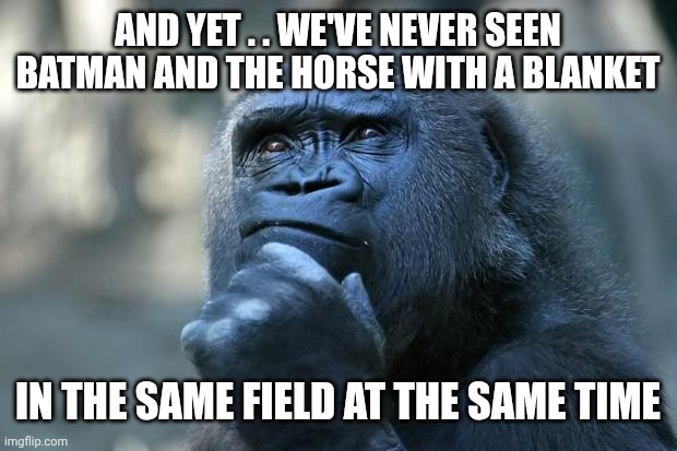 AND YET . . WE'VE NEVER SEEN BATMAN AND THE HORSE WITH A BLANKET IN THE SAME FIELD AT THE SAME TIME | image tagged in deep thoughts | made w/ Imgflip meme maker