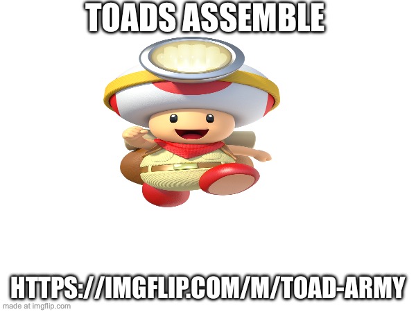 TOADS ASSEMBLE; HTTPS://IMGFLIP.COM/M/TOAD-ARMY | image tagged in toad | made w/ Imgflip meme maker