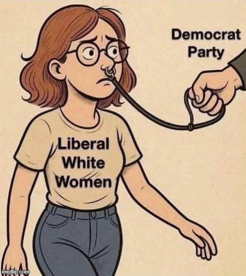 Not my creation but had to share (now we know what the nose ring is for haha) | image tagged in liberal vs conservative,feminism,indoctrination,piercings | made w/ Imgflip meme maker