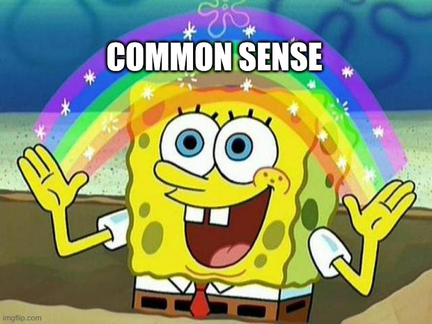 Common sense | COMMON SENSE | image tagged in spongebob rainbow | made w/ Imgflip meme maker