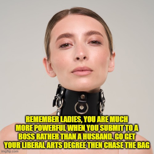 REMEMBER LADIES, YOU ARE MUCH MORE POWERFUL WHEN YOU SUBMIT TO A BOSS RATHER THAN A HUSBAND. GO GET YOUR LIBERAL ARTS DEGREE THEN CHASE THE  | made w/ Imgflip meme maker