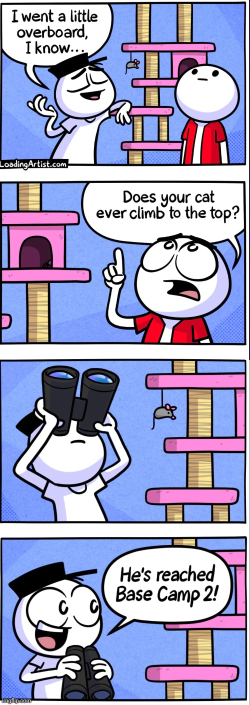 image tagged in comics,loadingartist,cats,binoculars,camp,tall | made w/ Imgflip meme maker