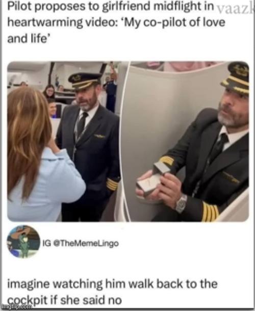 image tagged in comments,dark humour,proposal,marriage,plane crash,pilot | made w/ Imgflip meme maker