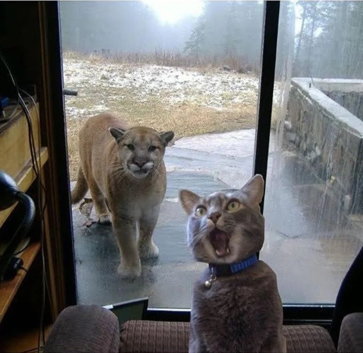 Chrisjoines1 Blank Meme Template