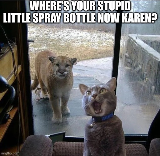Where's Your Stupid Little Spray Bottle Now Karen? | WHERE'S YOUR STUPID LITTLE SPRAY BOTTLE NOW KAREN? | image tagged in chrisjoines1 | made w/ Imgflip meme maker