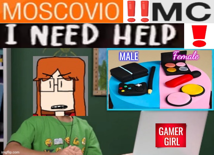 CC needs MC's help again. | Female; MALE; GAMER 
GIRL | image tagged in expand dong,cc,pointlessly gendered | made w/ Imgflip meme maker