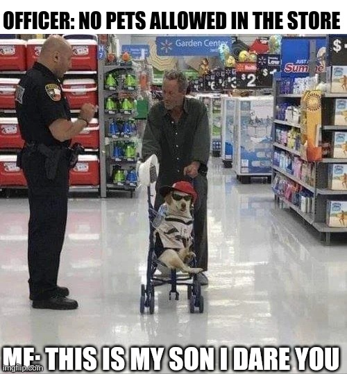 Officer No Pets In The Store | OFFICER: NO PETS ALLOWED IN THE STORE; ME: THIS IS MY SON I DARE YOU | image tagged in chrisjoines1 | made w/ Imgflip meme maker