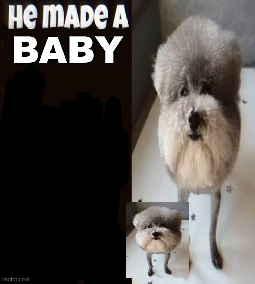 He made a statement so trash | BABY | image tagged in he made a statement so trash | made w/ Imgflip meme maker