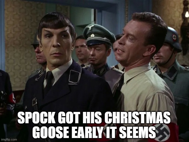 Christmas Goose | SPOCK GOT HIS CHRISTMAS GOOSE EARLY IT SEEMS | image tagged in star trek nazi spock uncovered by bad guy | made w/ Imgflip meme maker