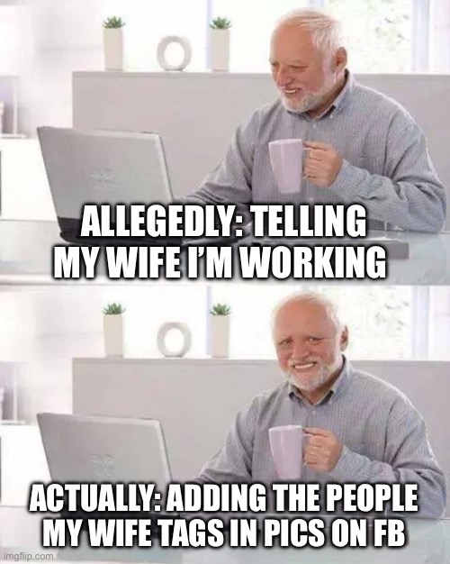 Hide the Pain Harold Meme | ALLEGEDLY: TELLING MY WIFE I’M WORKING; ACTUALLY: ADDING THE PEOPLE MY WIFE TAGS IN PICS ON FB | image tagged in memes,hide the pain harold | made w/ Imgflip meme maker