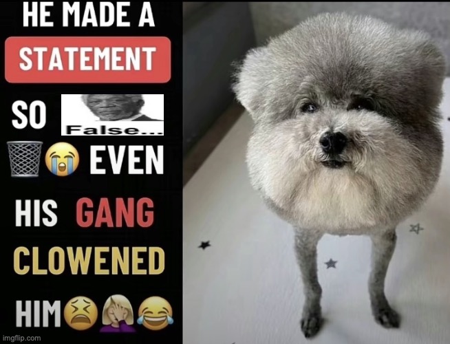 he made a statement so false Blank Meme Template