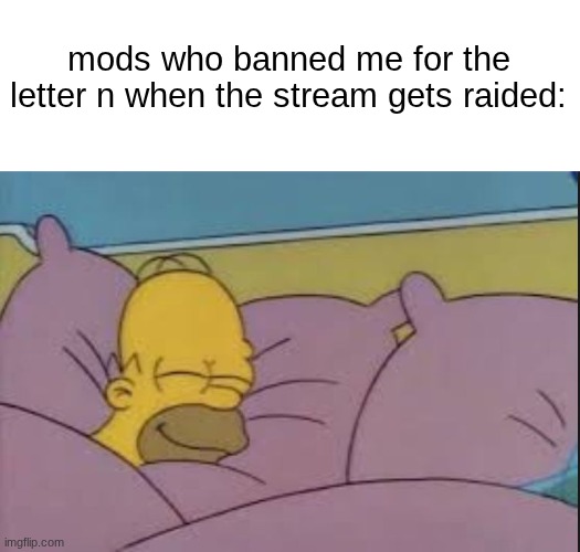 how i sleep homer simpson | mods who banned me for the letter n when the stream gets raided: | image tagged in how i sleep homer simpson | made w/ Imgflip meme maker