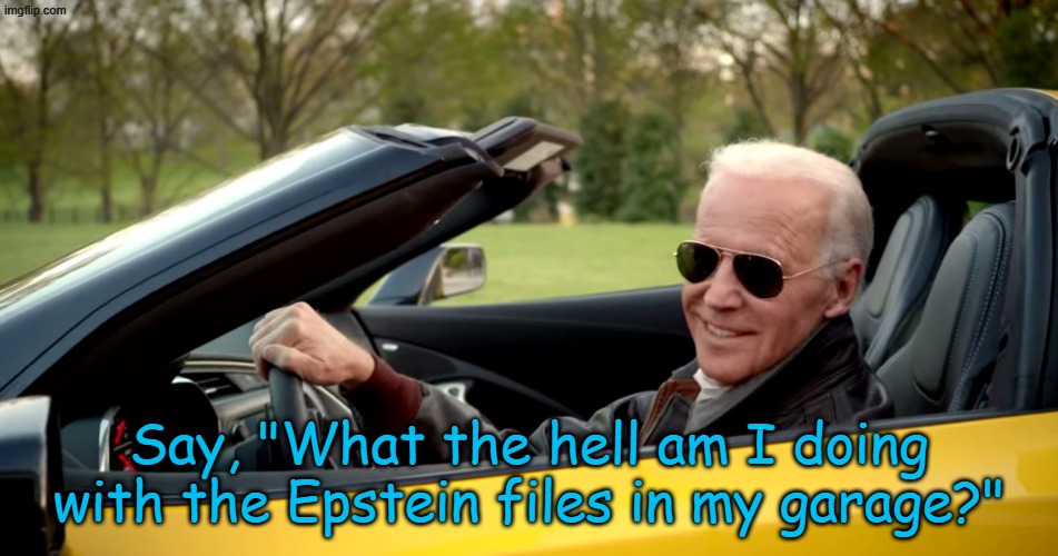no go joe | Say, "What the hell am I doing with the Epstein files in my garage?" | image tagged in no go joe | made w/ Imgflip meme maker