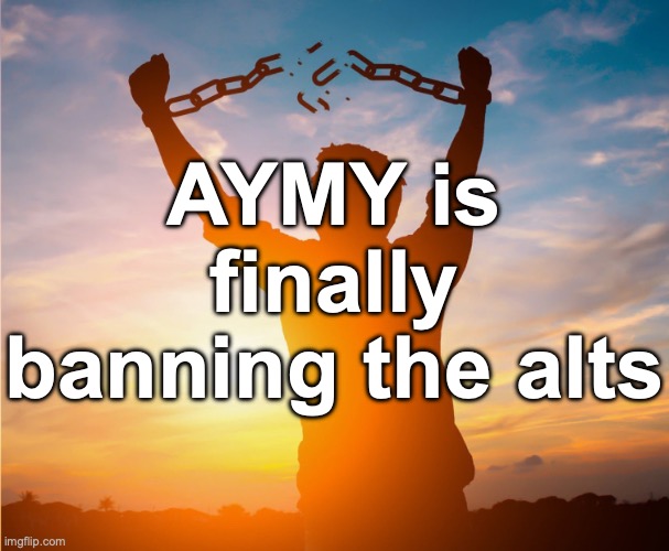 NO MORE TOADY SPAM HELL YEAH | AYMY is finally banning the alts | image tagged in man breaking free from chains over the sunset | made w/ Imgflip meme maker