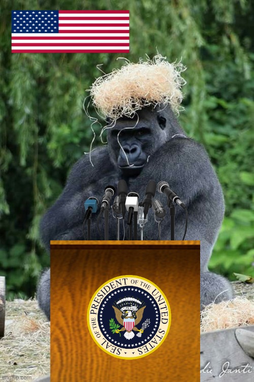 2028 election meme | image tagged in gorilla | made w/ Imgflip meme maker