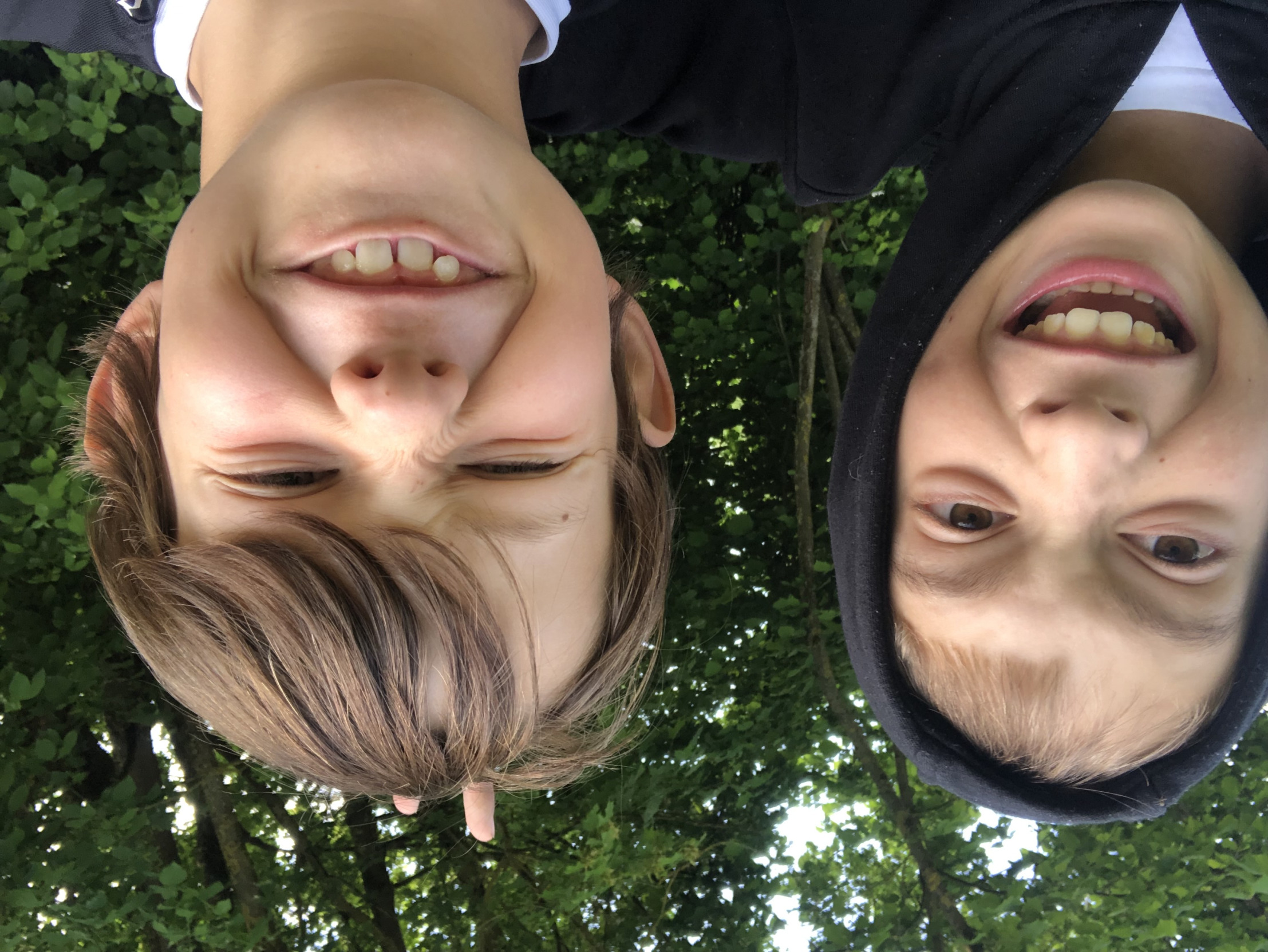 Brother Blank Meme Template