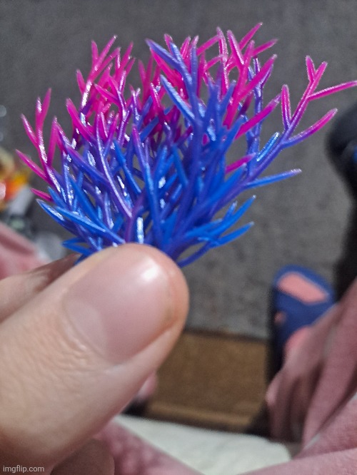 Bisexual grass???? | made w/ Imgflip meme maker