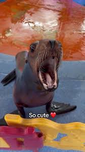 me rn Blank Meme Template