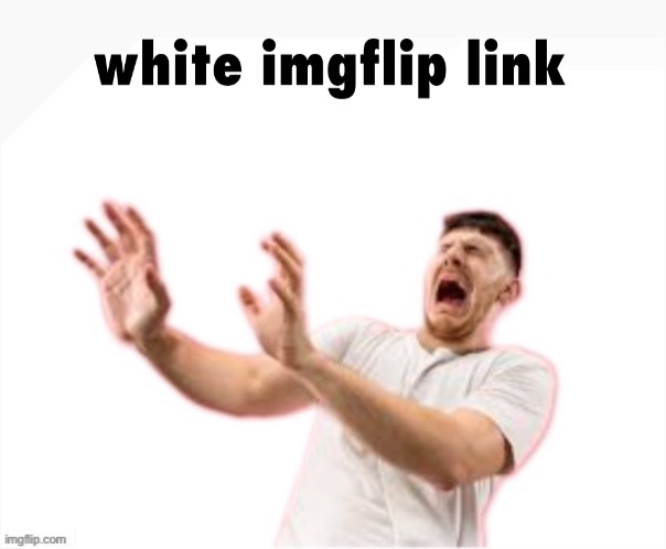 white imgflip link | image tagged in white imgflip link | made w/ Imgflip meme maker