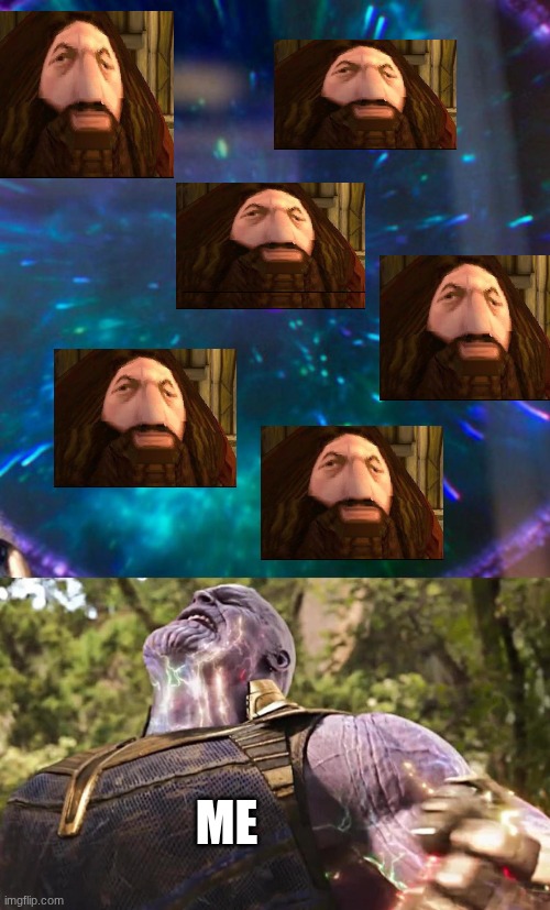 Thanos Infinity Stones | ME | image tagged in thanos infinity stones,hagrid,hagrid stones | made w/ Imgflip meme maker