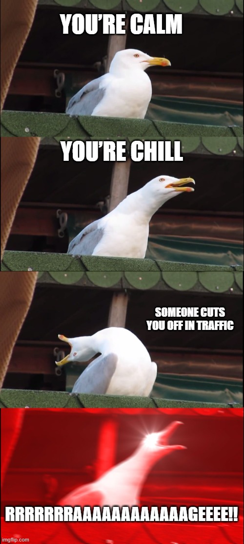 raging | YOU’RE CALM; YOU’RE CHILL; SOMEONE CUTS YOU OFF IN TRAFFIC; RRRRRRRAAAAAAAAAAAAGEEEE!! | image tagged in memes,inhaling seagull | made w/ Imgflip meme maker