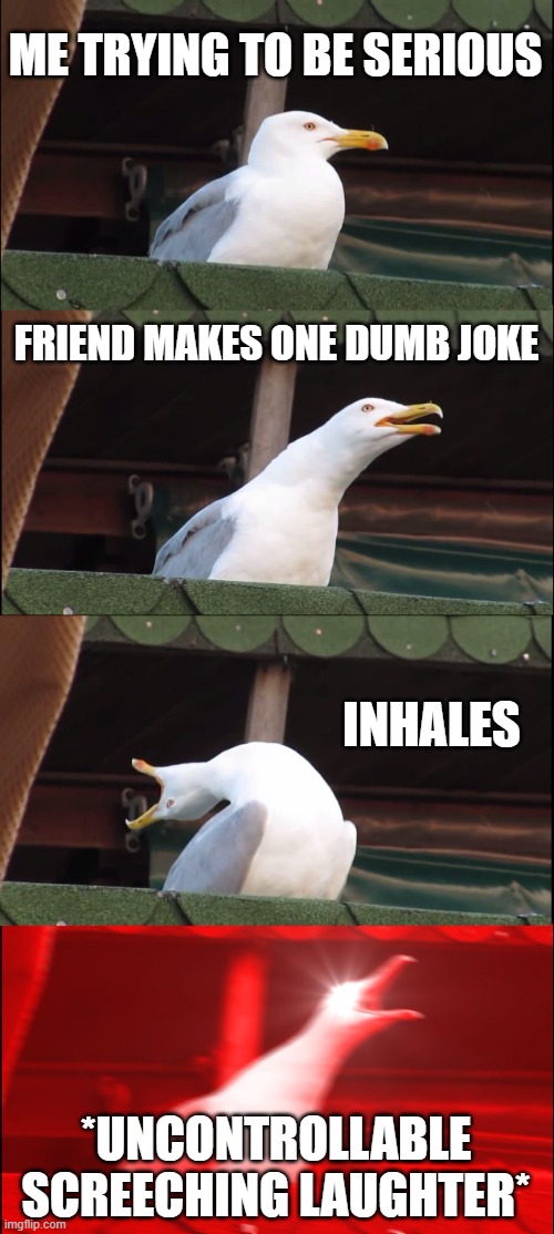 laughing seagull | ME TRYING TO BE SERIOUS; FRIEND MAKES ONE DUMB JOKE; INHALES; *UNCONTROLLABLE SCREECHING LAUGHTER* | image tagged in memes,inhaling seagull | made w/ Imgflip meme maker
